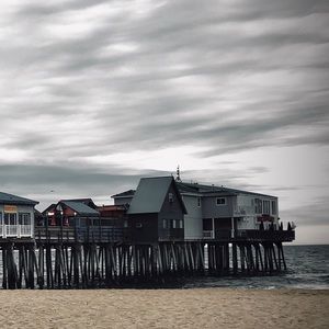 Meet your Posher, Lily